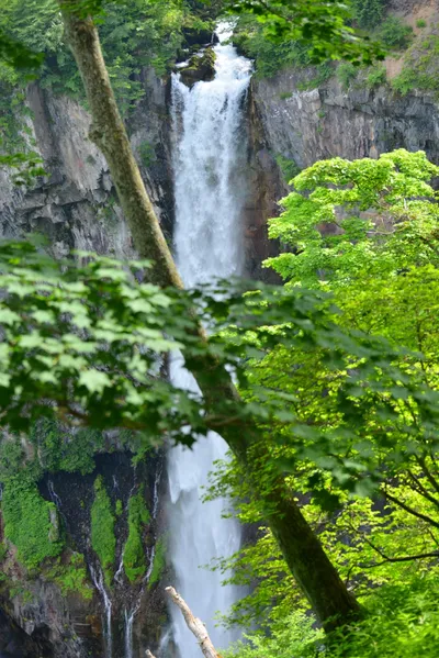 DSC_3954 (Large).JPG